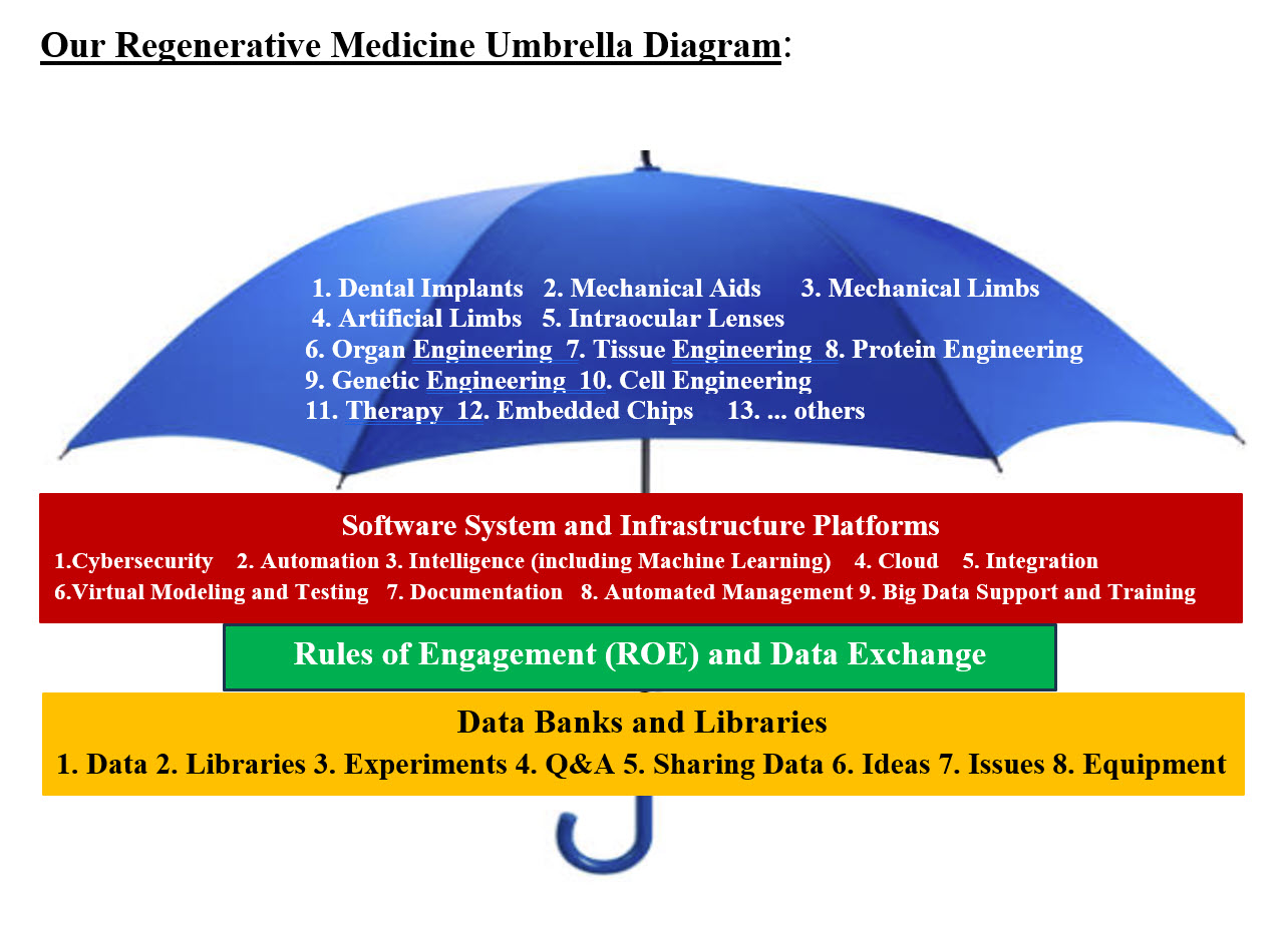 Regenerative Medicine Umbrella Diagram.jpg